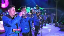 Suelta La Sopa | Banda MS opina que no se deberían prohibir los narcocorridos | Entretenimiento