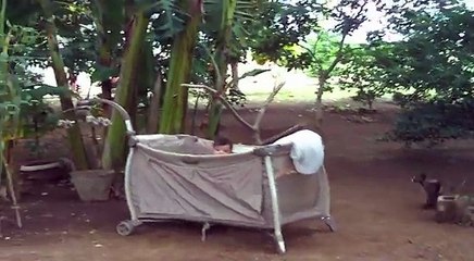 Latest baby jeannelyn playing with baby monkey