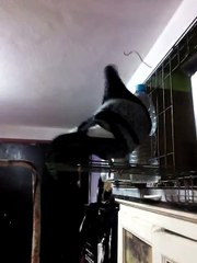 Male Gorguro Bleu 2015