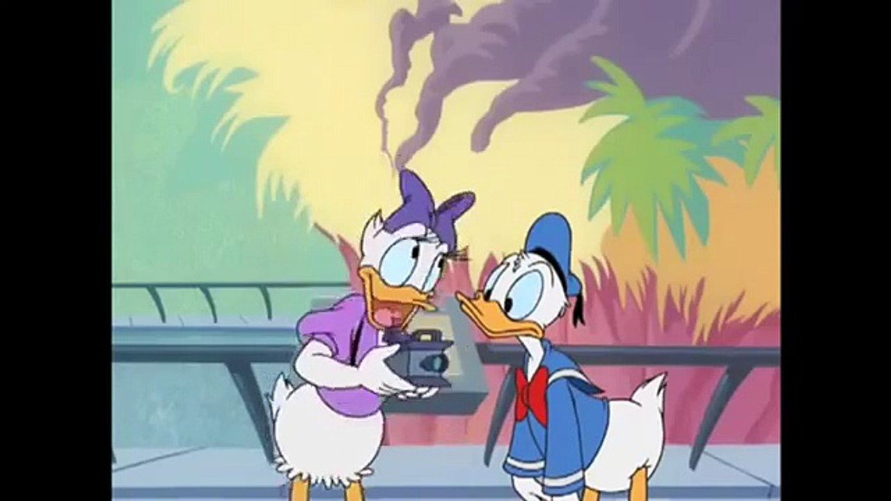 Cartoon  Donald Duck - Bird Brained Donald