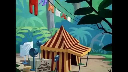 Disney  Donald Duck - Clown Of The Jungle