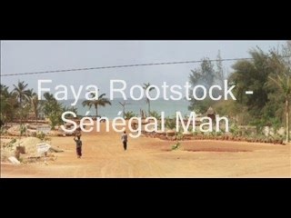 Faya Rootstock - Sénégal Man