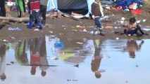 Avrupa'daki Sığınmacı Krizi - Bmmyk Koordinatörü Baloc