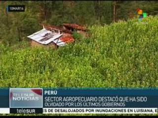 Perú: pequeños productores denuncian abandono gubernamental