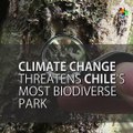 Chile's Omora National Park Threatened by Climate Change