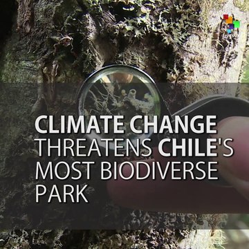 Chile's Omora National Park Threatened by Climate Change
