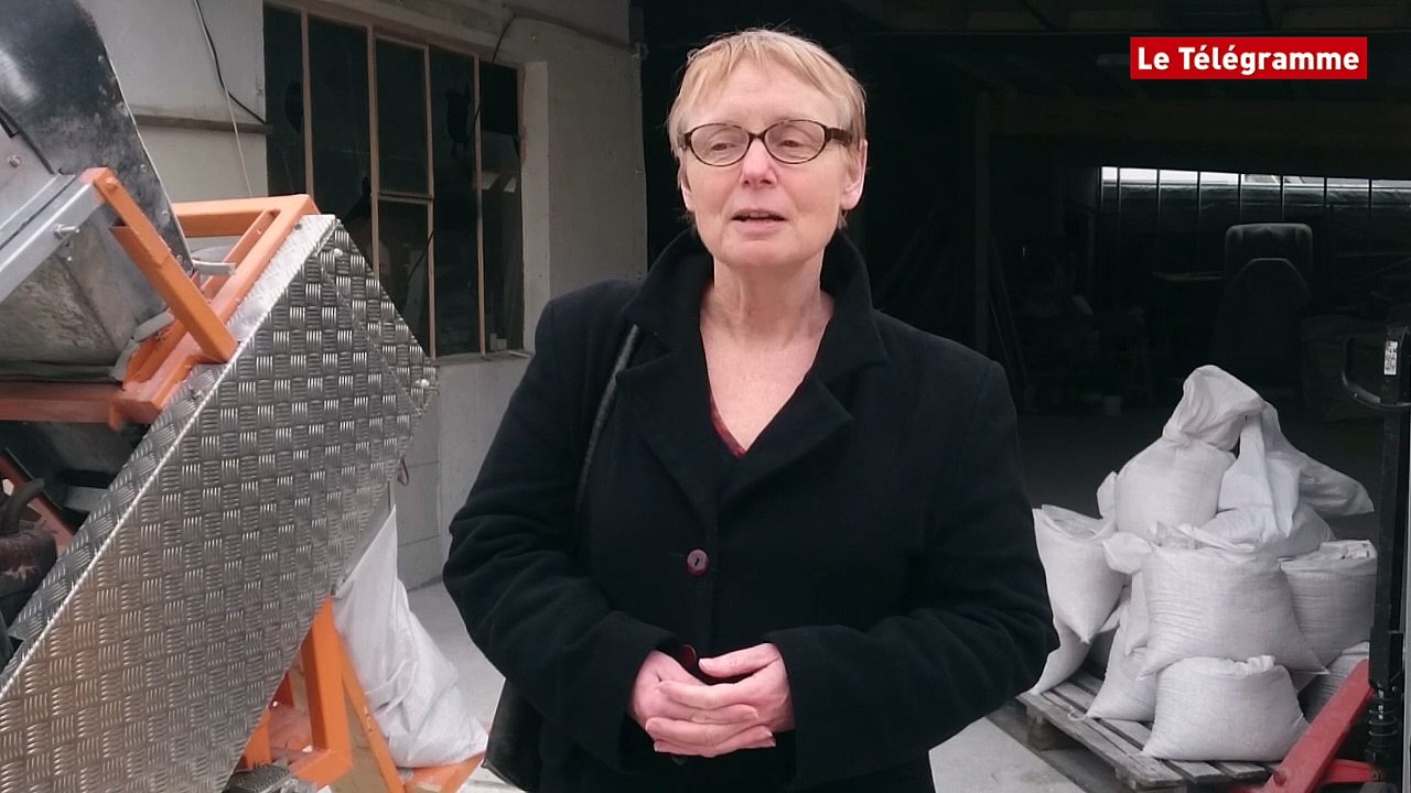 Blavet, Bellevue Océan. 2 tonnes recyclées lors de la collecte expérimentale de coquilles