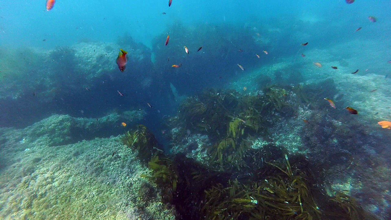 Above angle of big underwater cave