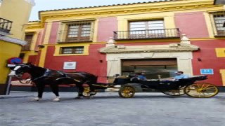 Hotels in Seville Palacio Pinello Spain
