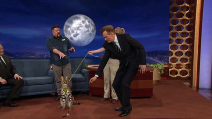Animal Expert David Mizejewski- Serval & Burmese Python  - CONAN on TBS
