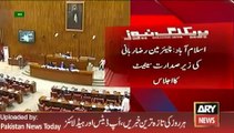 Raza Rabbani Remarks on Democracy - 11th March 2016