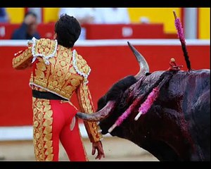 Most Amazing and Interesting Things in The World