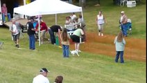 Rainier Hunt Jack Russell Racing