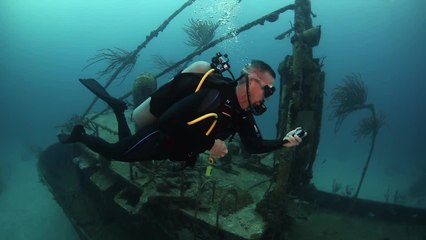 Sherwood Scuba's Vision Computer