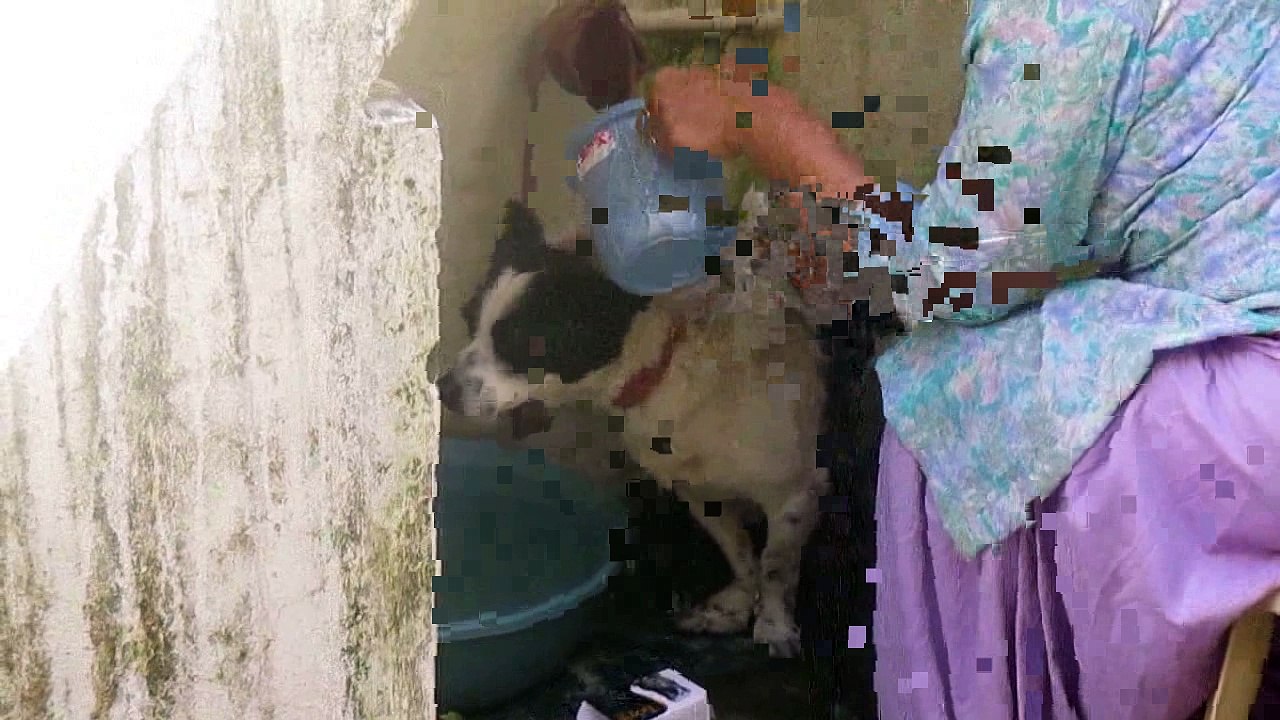 Jimmy Taking Shower