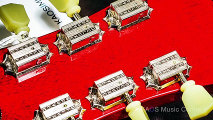 KAOS Gear Demo Epiphone ES 339 PRO