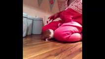 Funny Hamster Video Compilation - Hamster Fails - Funny Hamster Sleeping