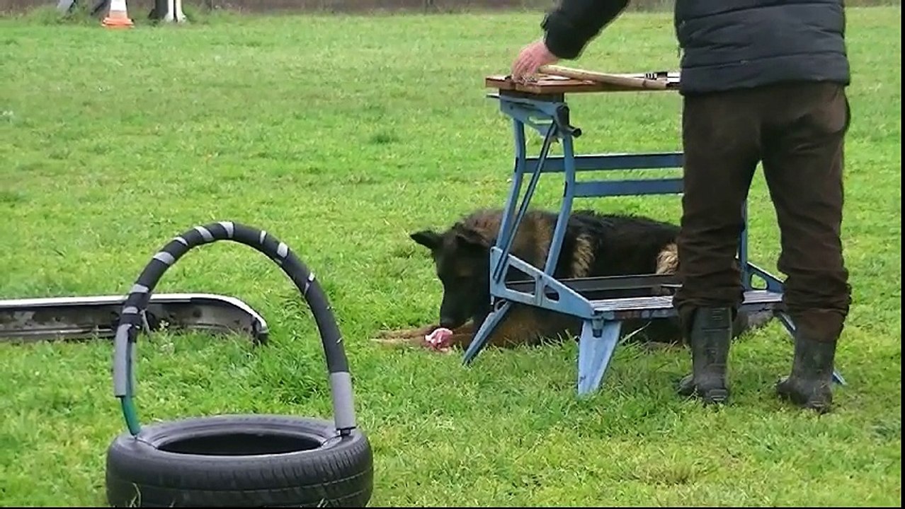 Ianouk, Mondioring 1, Mérignac 2016.