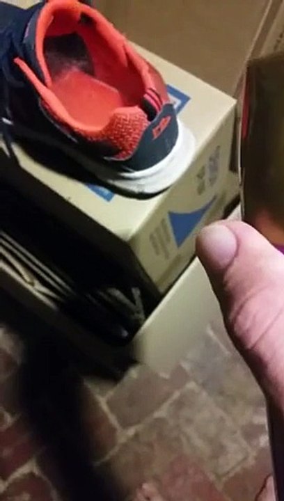 Un padre se encuentra una araña en el interior de la zapatilla de su hijo