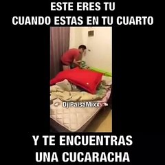 Los hombres cuando ven una cucaracha voladora