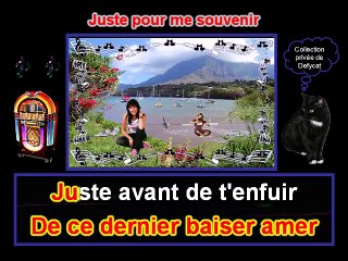 Nolwen Leroy - Juste pour me souvenir