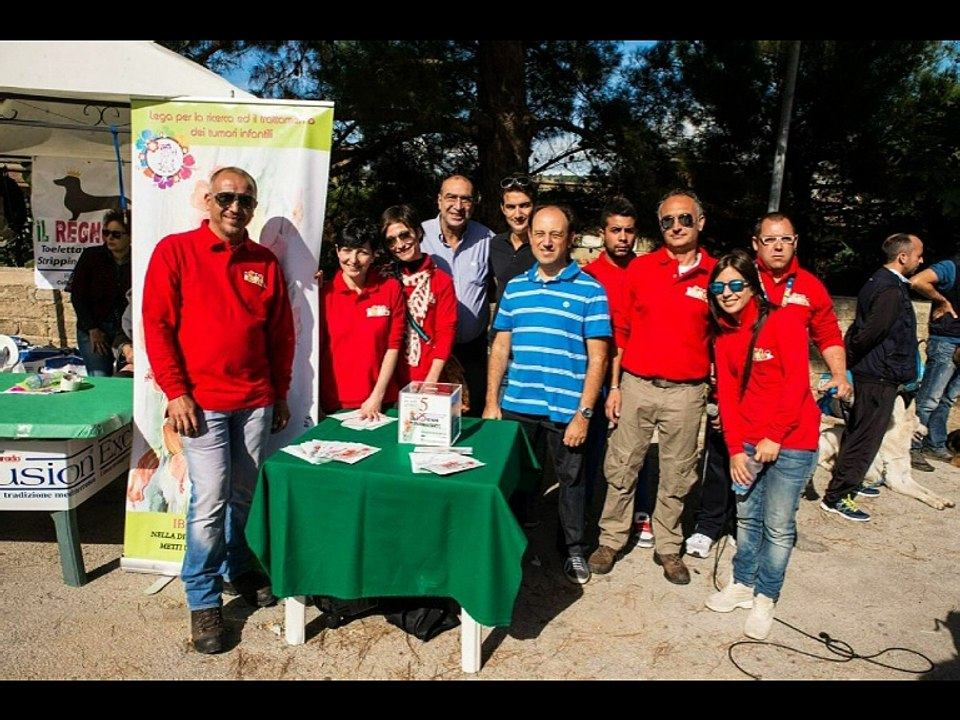 IBISCUS ONLUS 2015