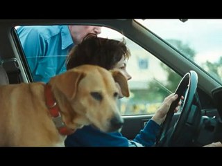 Wendy & Lucy Bande Annonce