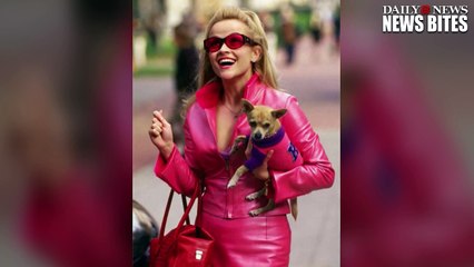 Télécharger la video: Reese Witherspoon Shares Sad News That The Dog From ‘Legally Blonde’ Has Died