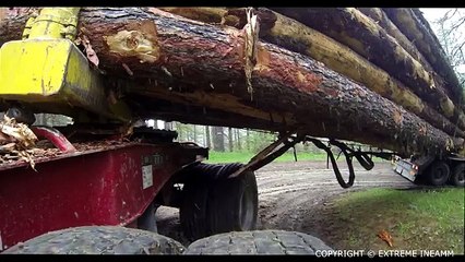 Una manovra da BOSS: Guardate cosa combina questo TIR di 16 metri!