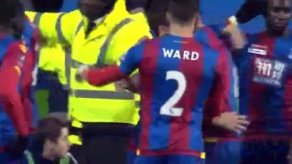 Reading vs Crystal Palace 0-2 All Goals & Highlights FA Cup11-03-16
