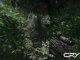 Crysis DX9 DX10 Jungle Fight Movie
