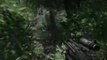 Crysis DX9 DX10 Jungle Fight Movie
