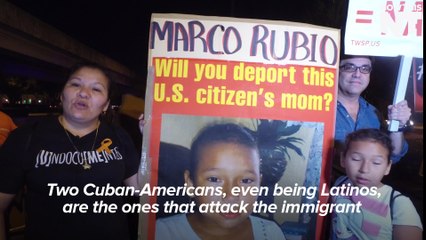 Immigrants On Rubio's Anti-Immigrant Policies