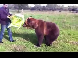 Dostcanlısı Komik Ayı