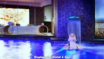 Hotels in Nice Westminster Hotel Spa France