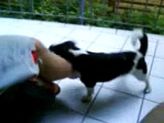 Männliche Gelüste! :-)