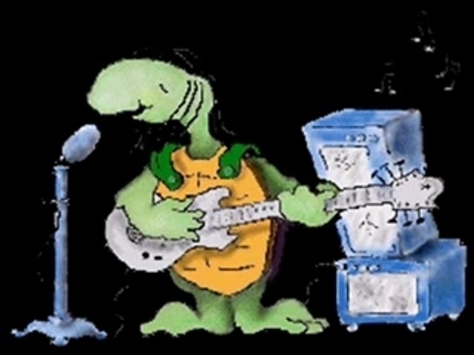 Tortue