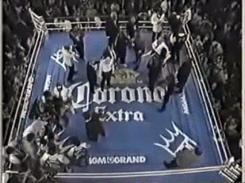 MIKE TYSON vs PETER McNEELEY (1981995) Las Vegas, NV  Historical Boxing Matches