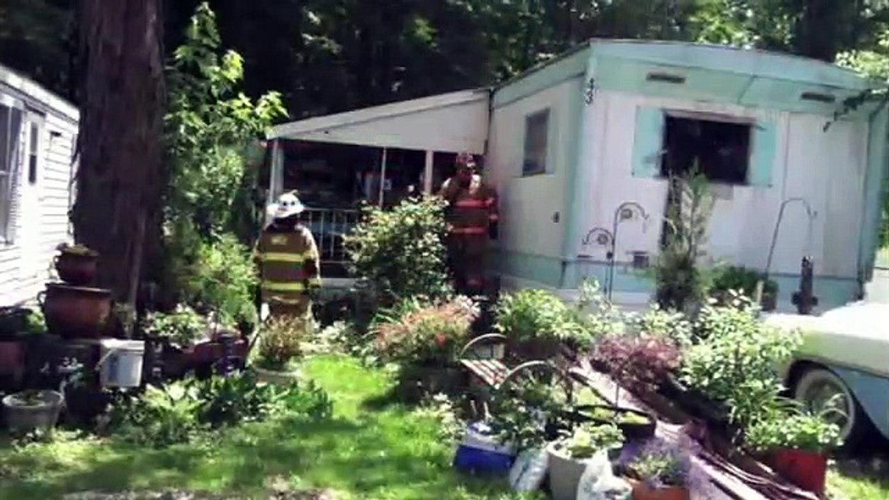 Cat Revived with Oxygen Mask