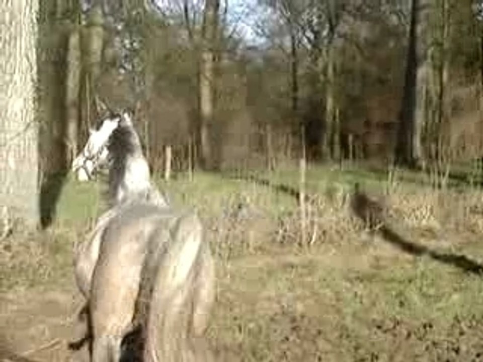 Clip5