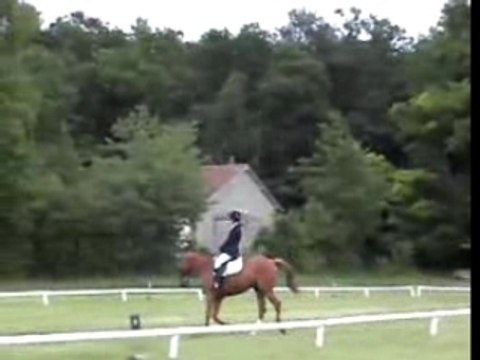 CCE 2007 mistick-moi en dressage & célia-jalna en CSO