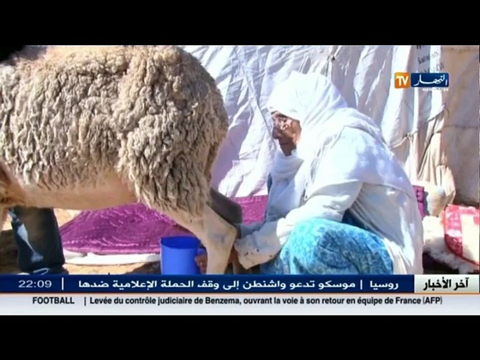 جزائريون : خالتي فاطنة.. مثال المرأة الريفية ال...