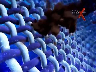 DigiNext Showreel (Edit)