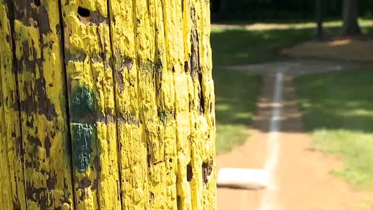 Wiffle Ball Field of Dreams