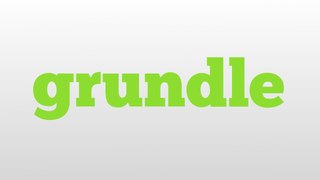 grundle meaning and pronunciation