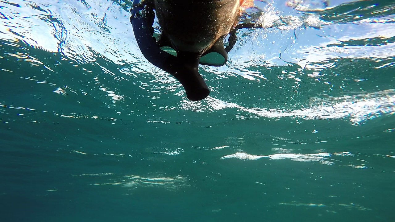 A Unique view while Swimming