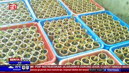 People and Inspiration: Kampanye Hijau Ala Muqied #2