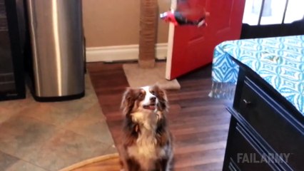 Remote Control Fails Compilation    FailArmy