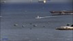 Supercarrier USS George Washington,U.S. Fleet Activities Yokosuka 空母の方向転換