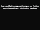 Download Secrets of Self-Employment: Surviving and Thriving on the Ups and Downs of Being Your